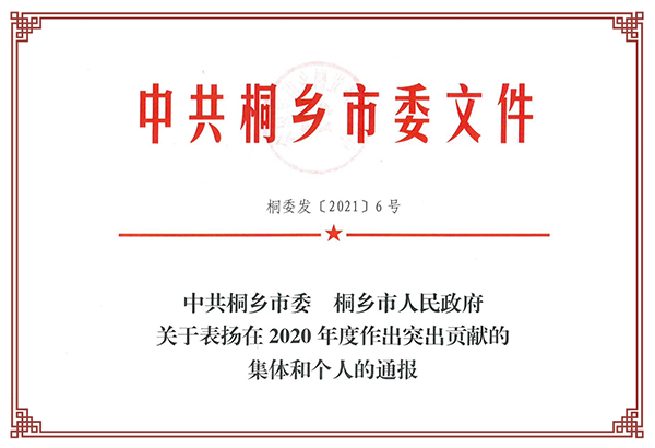 2020年度桐鄉(xiāng)市服務業(yè)優(yōu)秀企業(yè)